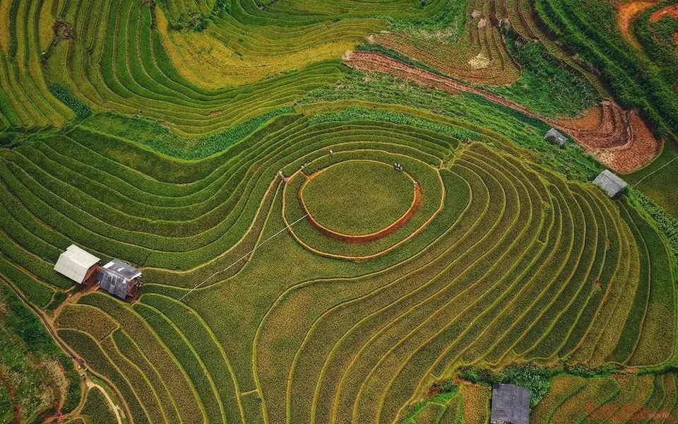 Ruộng bậc thang Mù Cang Chải nhìn từ trên cao khi lúa bắt đầu chuyển vàng